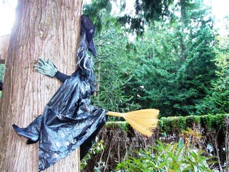 Spooky Spell Gone Awry: Witch Crashes into Mysterious Tree